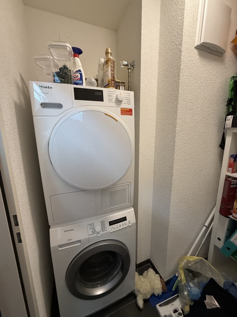 2.5 Zimmer Wohnung (3)