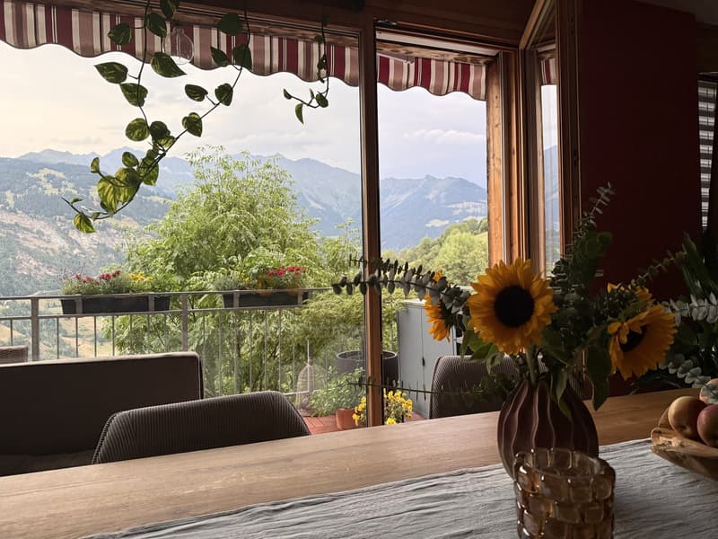 Wohnung mit traumhafter Aussicht (2)