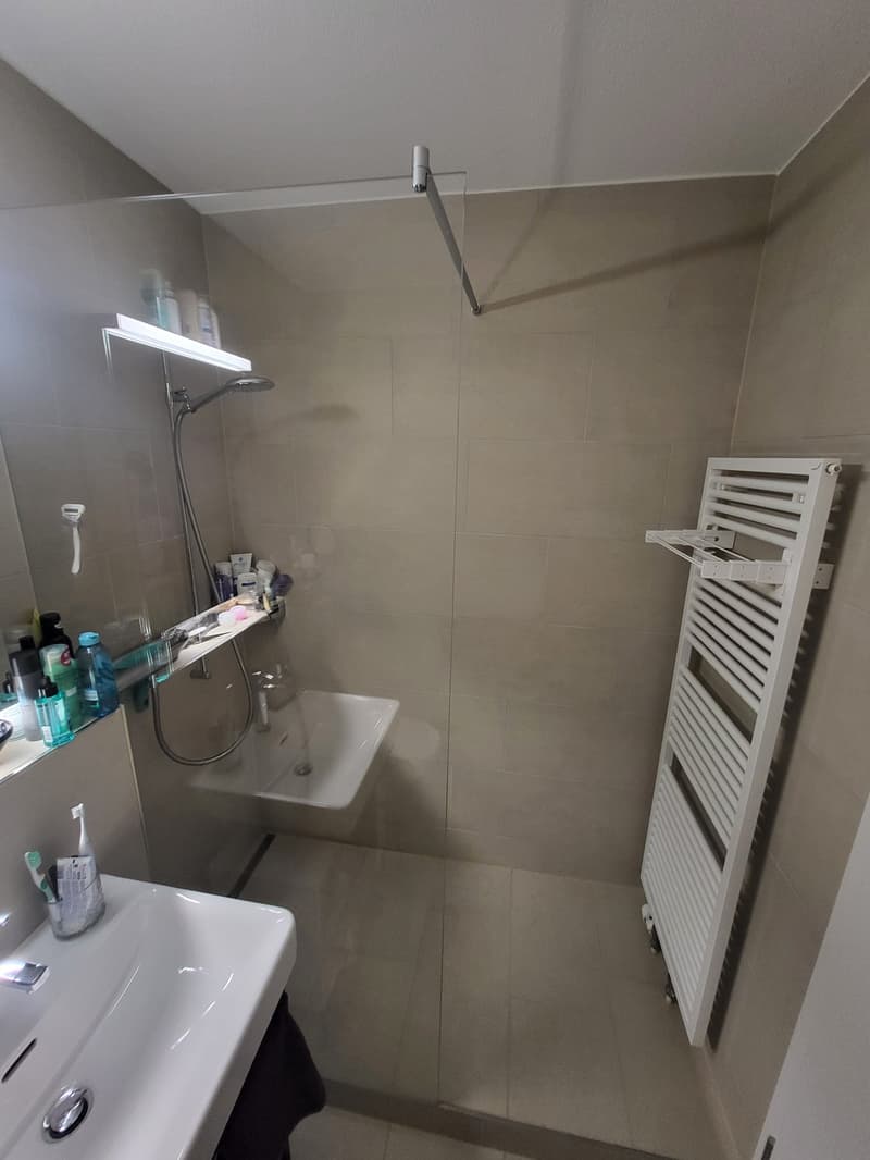 Möbelierte Wohnung zur Untermiete im Heuried (befristet) (5)