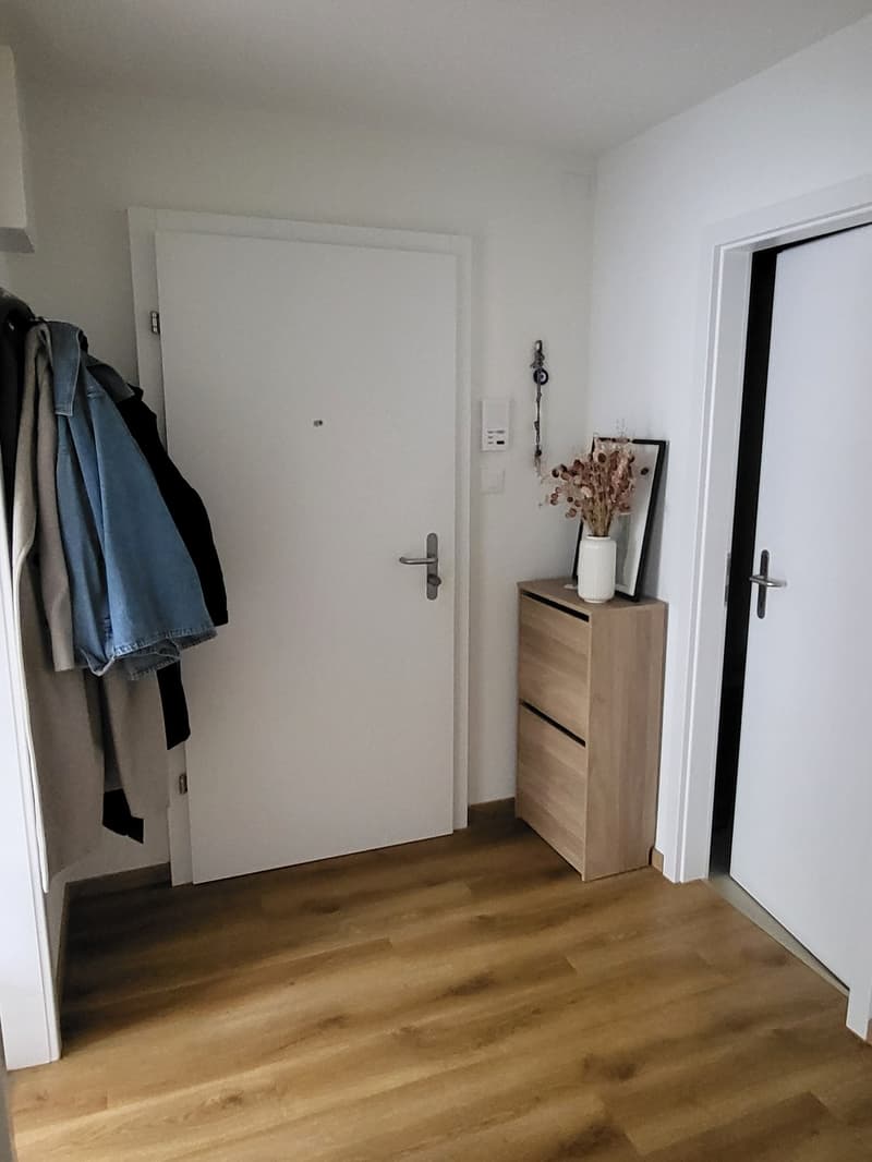 Möbelierte Wohnung zur Untermiete im Heuried (befristet) (6)