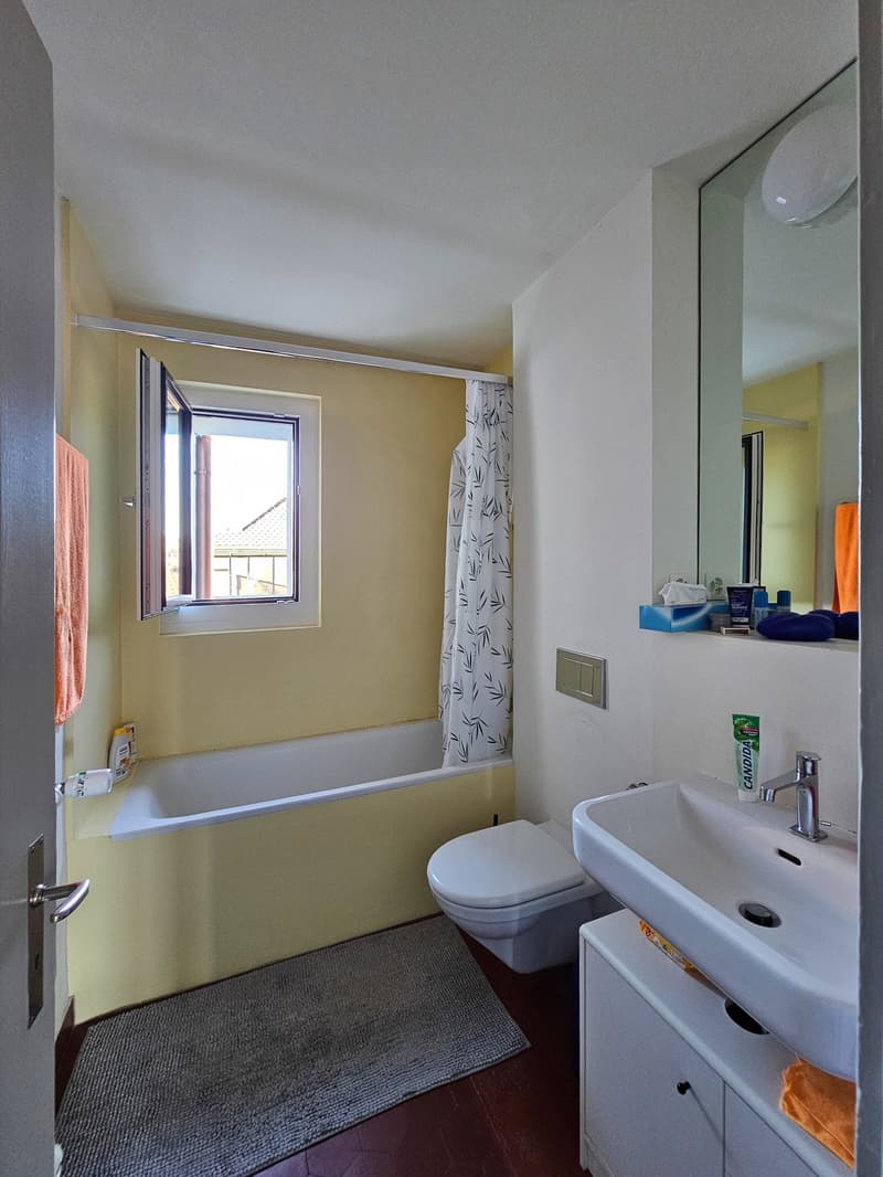 13.8 m2 Zimmer in 118 m2 Maisonette mit Blick auf den Uetliberg, Kreis 5, CHF 1'450 (10)