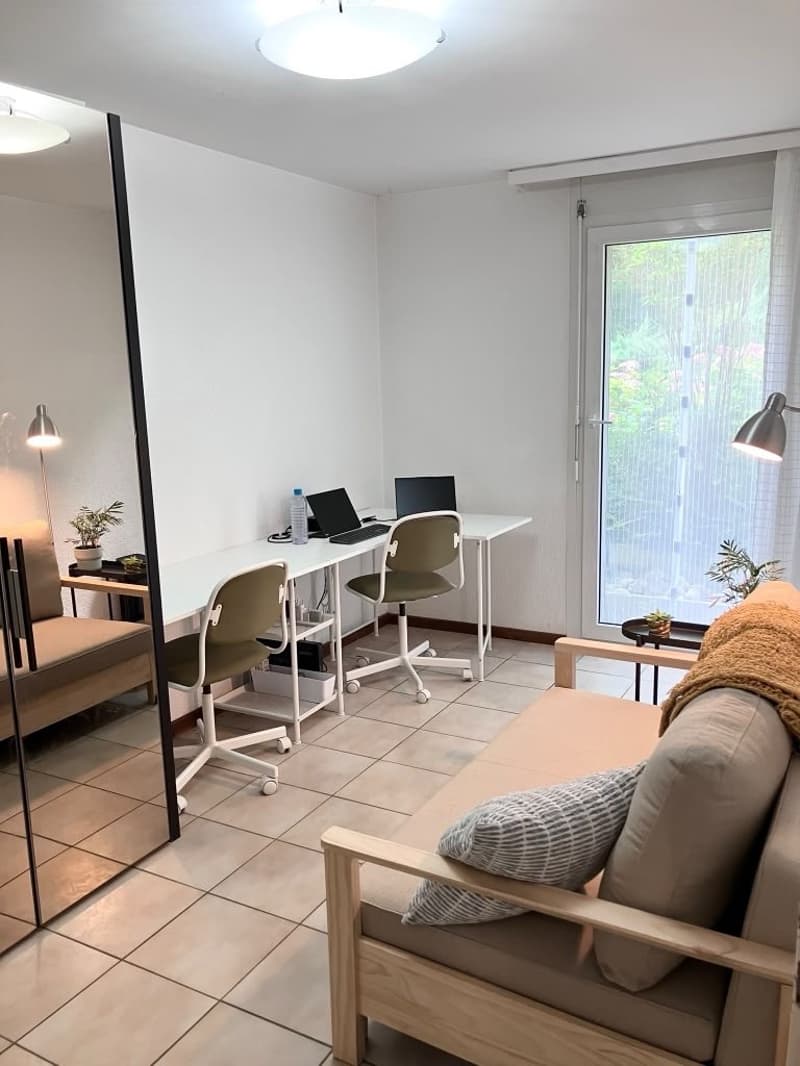 Lease Takeover for Terrace Apartment adjacent to Lac Leman (11)