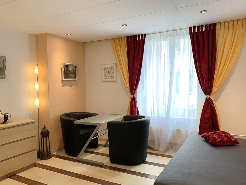Stilvoll Möblierte 1-Zimmerwohnung an bester Lage im Zentrum der Stadt St.Gallen (2)