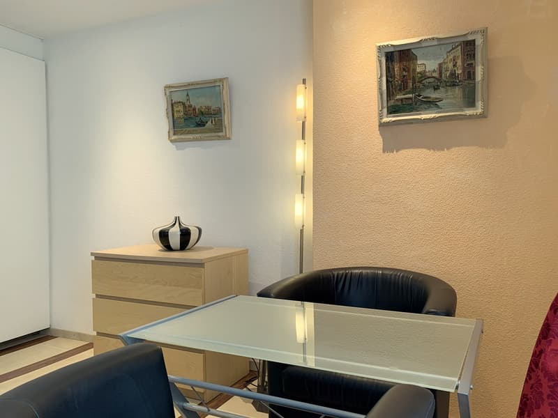 Stilvoll Möblierte 1-Zimmerwohnung an bester Lage im Zentrum der Stadt St.Gallen (5)
