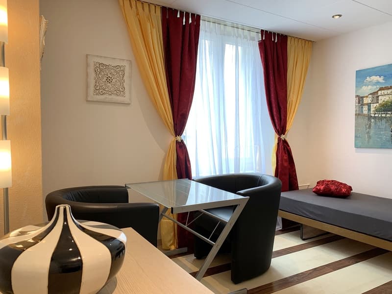 Stilvoll Möblierte 1-Zimmerwohnung an bester Lage im Zentrum der Stadt St.Gallen (1)