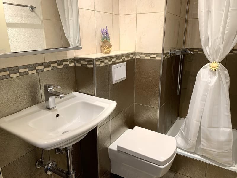 Stilvoll Möblierte 1-Zimmerwohnung an bester Lage im Zentrum der Stadt St.Gallen (6)