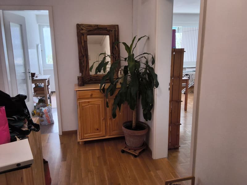 Wohnung mit wunderschöner Aussicht (1)