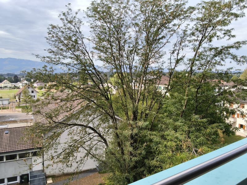Wohnung mit wunderschöner Aussicht (6)