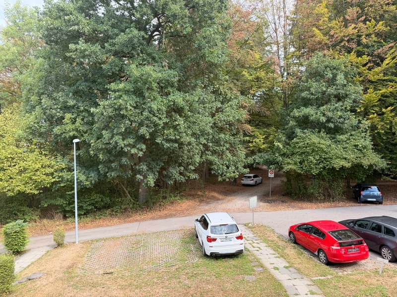 WG-Zimmer in Hochdorf Mitbewohner:in gesucht (2)