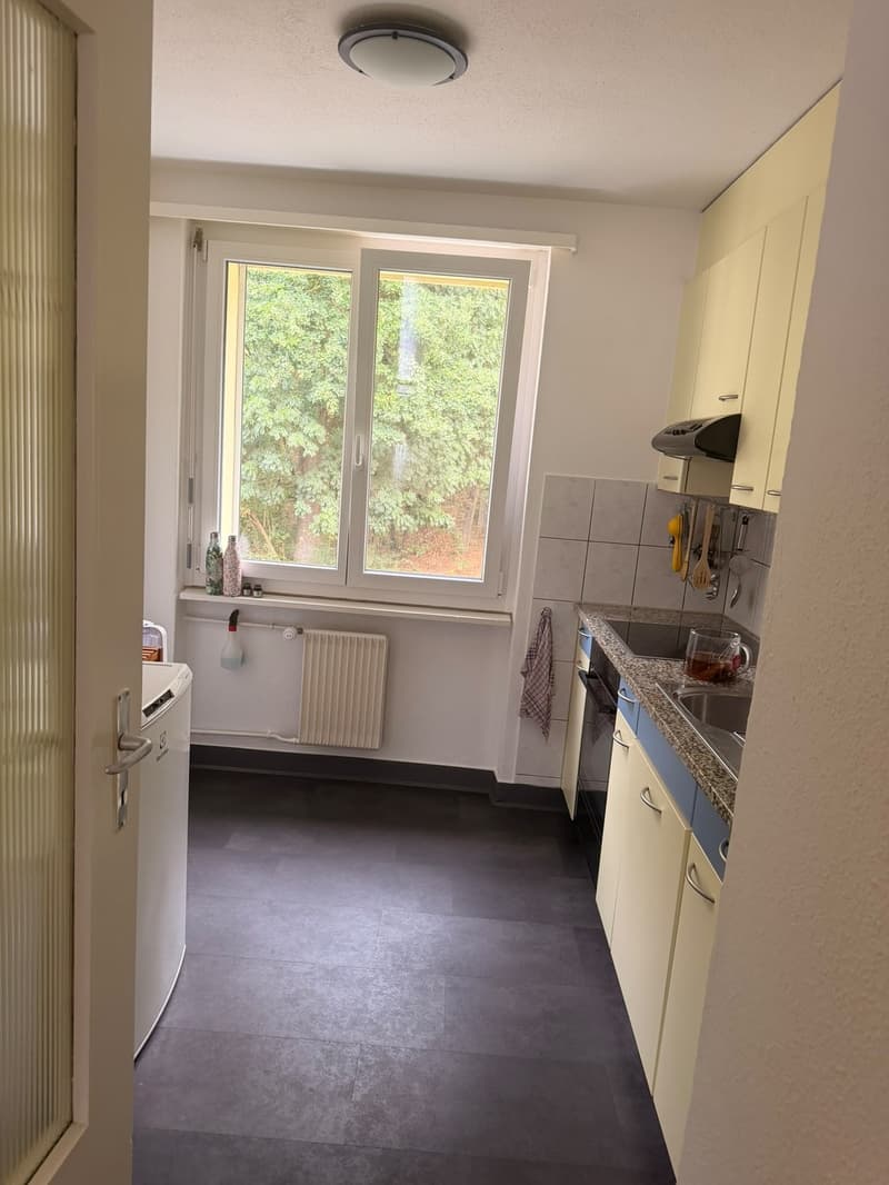 WG-Zimmer in Hochdorf Mitbewohner:in gesucht (4)