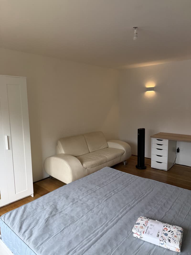 Helles modernes WG-Zimmer zu vermieten (12)