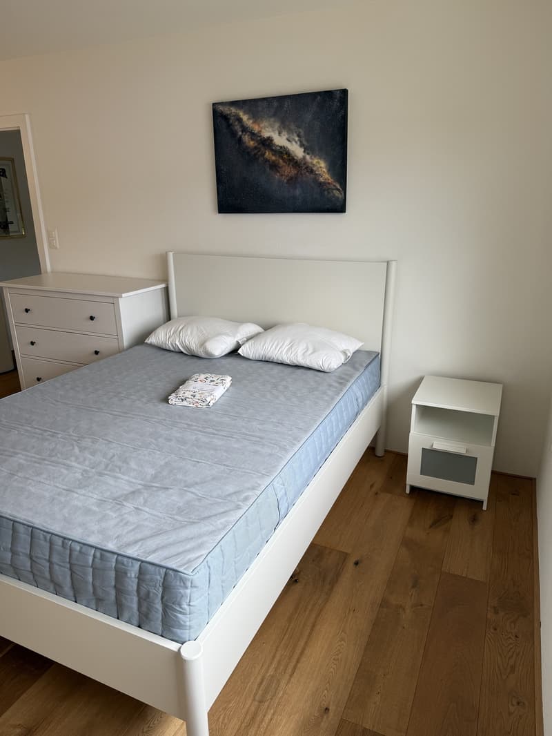 Helles modernes WG-Zimmer zu vermieten (11)