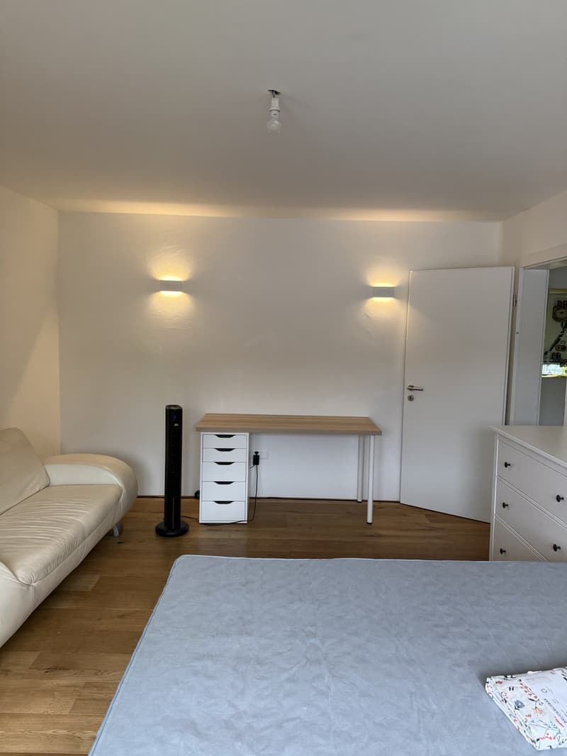 Helles modernes WG-Zimmer zu vermieten (7)