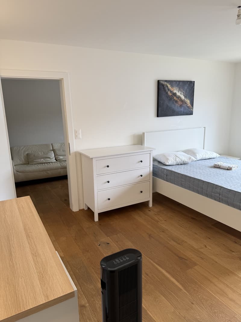 Helles modernes WG-Zimmer zu vermieten (10)
