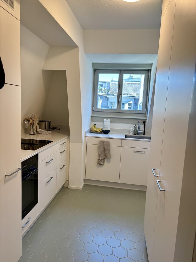 Charmante 3-Zimmer-Dachwohnung mit Terrasse am Helvetiaplatz - Nachmieter gesucht (6)
