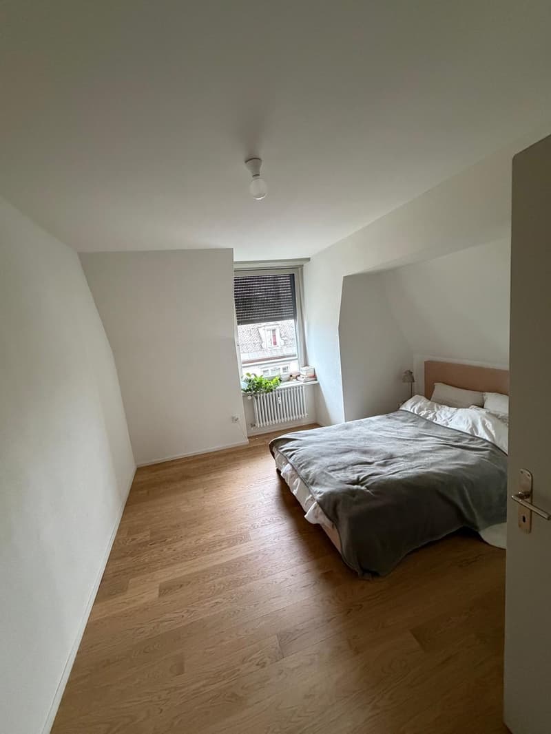 Charmante 3-Zimmer-Dachwohnung mit Terrasse am Helvetiaplatz - Nachmieter gesucht (5)