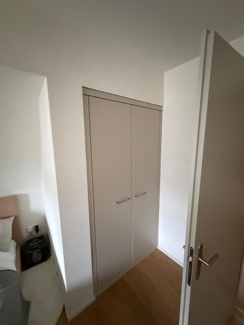 Charmante 3-Zimmer-Dachwohnung mit Terrasse am Helvetiaplatz - Nachmieter gesucht (4)