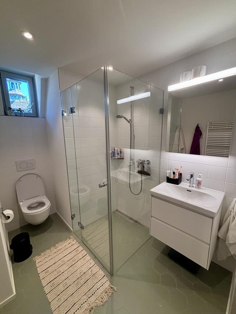 Charmante 3-Zimmer-Dachwohnung mit Terrasse am Helvetiaplatz - Nachmieter gesucht (9)