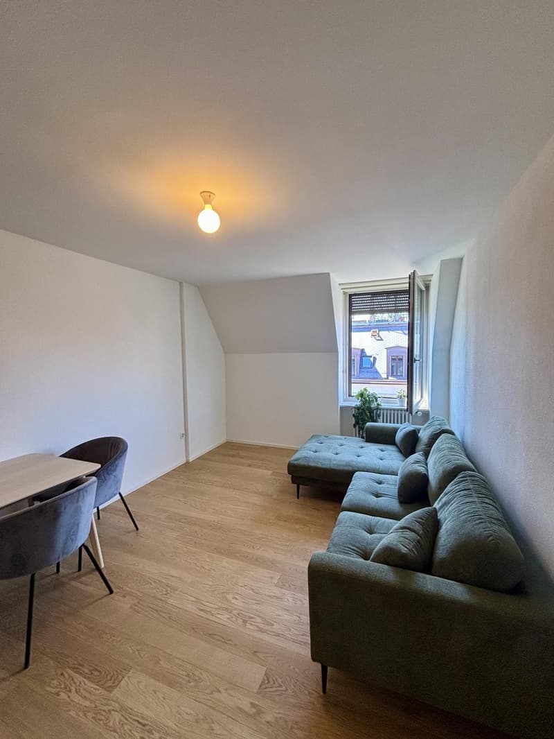 Charmante 3-Zimmer-Dachwohnung mit Terrasse am Helvetiaplatz - Nachmieter gesucht (3)