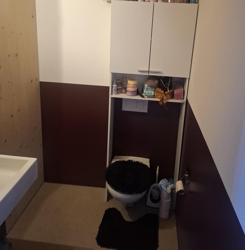 WG-Zimmer in ökoligoschem Quartier Horgen (4)