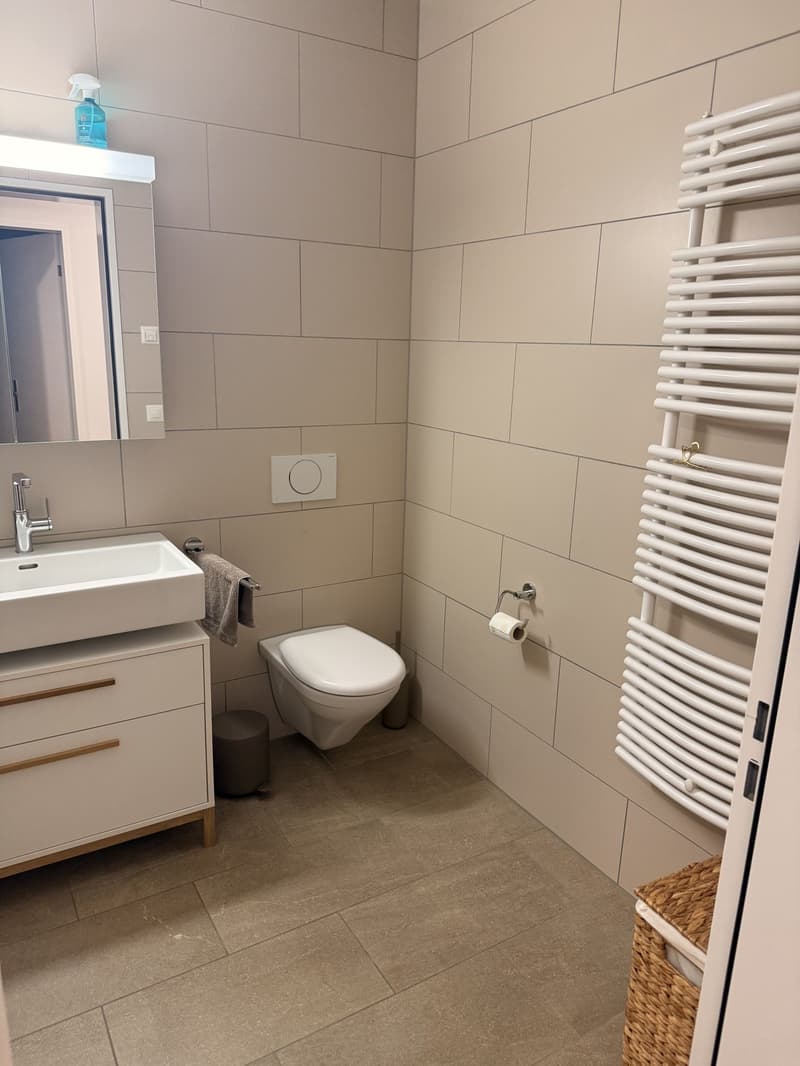 Zimmer in Bern - Untermieter/in gesucht (10)