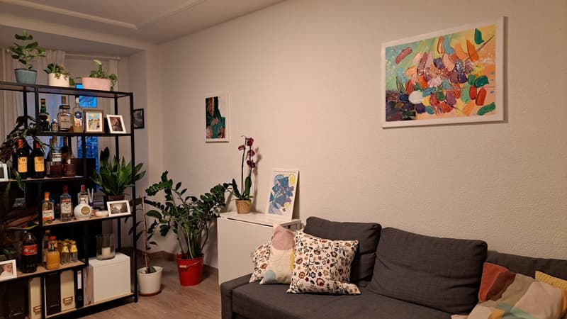 Bright & Renovated 2.5-Room Apartment in Schaffhauserplatz (2)