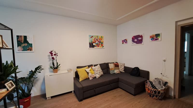 Bright & Renovated 2.5-Room Apartment in Schaffhauserplatz (1)