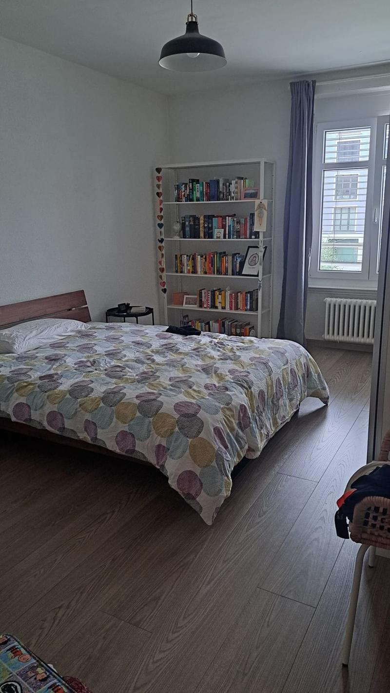 Bright & Renovated 2.5-Room Apartment in Schaffhauserplatz (5)