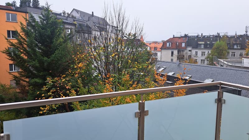 Bright & Renovated 2.5-Room Apartment in Schaffhauserplatz (6)