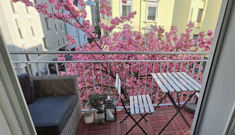 3.5-Zimmer-Wohnung in Zürich, Kreis 3, 75 m² (5)