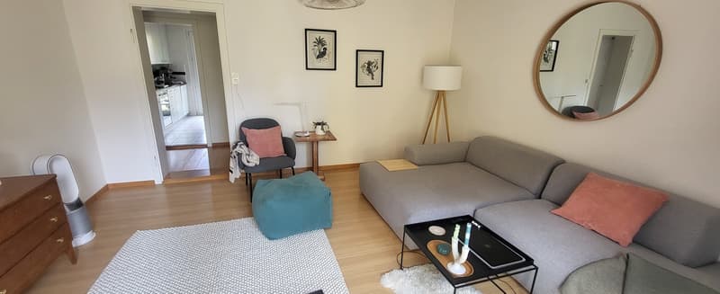 3.5-Zimmer-Wohnung in Zürich, Kreis 3, 75 m² (4)