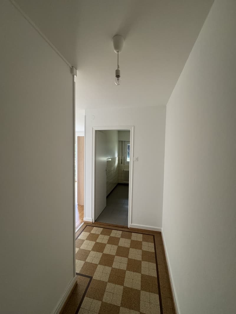 Appartement 1 pièce (4)