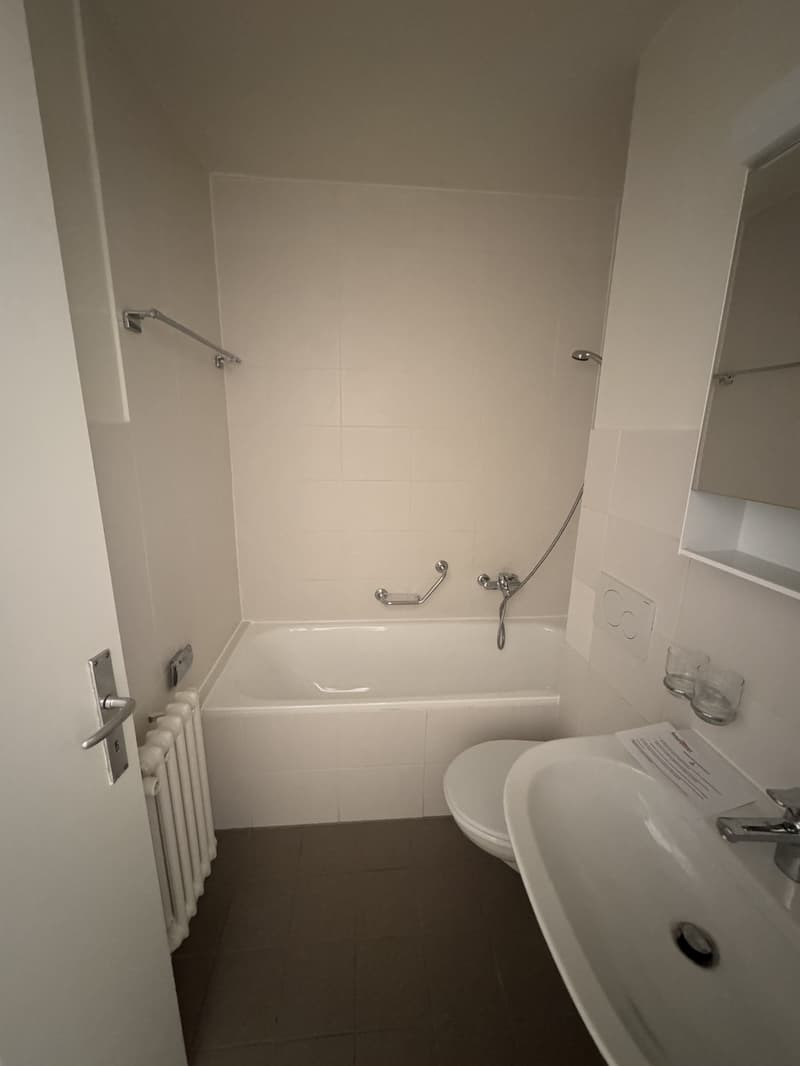 Appartement 1 pièce (5)