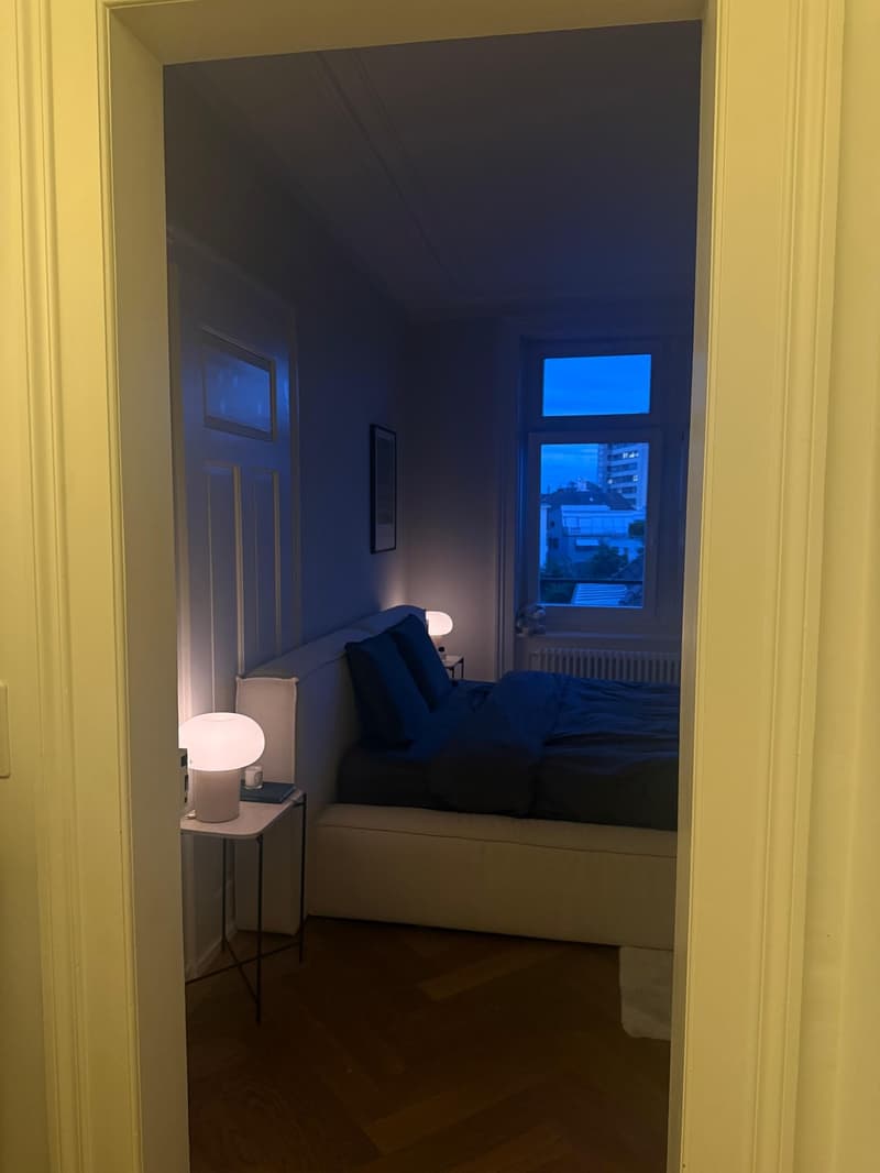 Schöne 3-Zimmer-Altbauwohnung in Zürich Kreis 6 - per sofort/ nach Vereinbarung. (9)