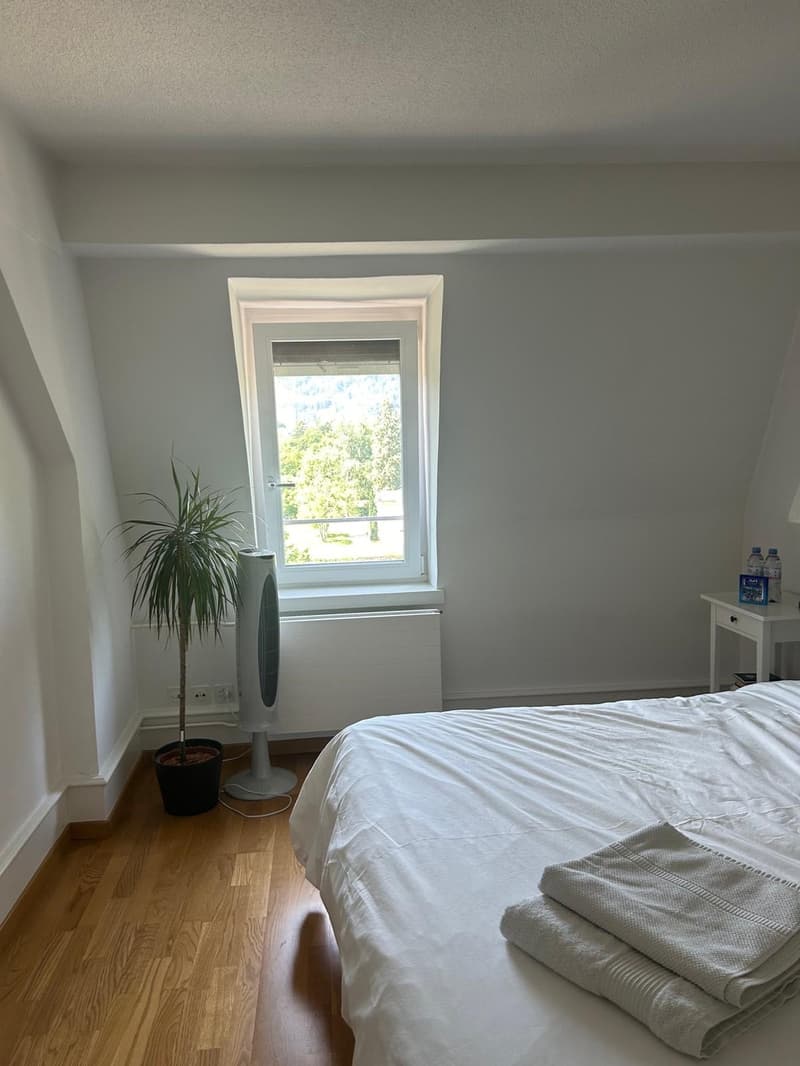 Befristetes WG-Zimmer für November & Dezember  nur für Frauen (3)