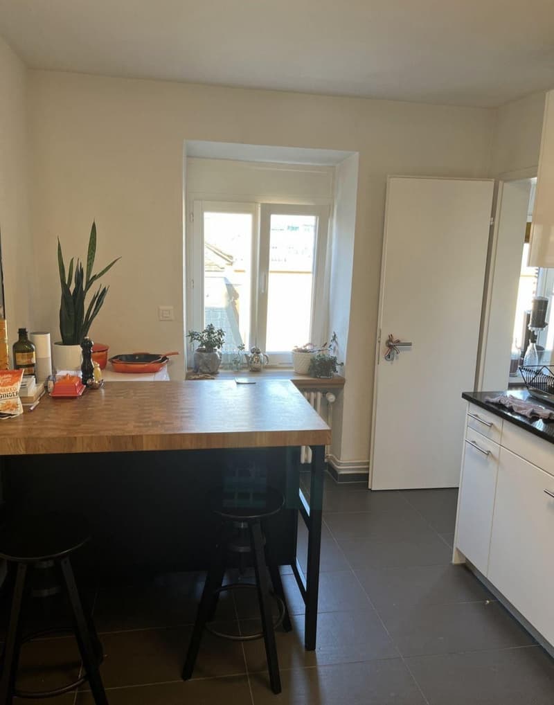 Central, bright and modern apartment (Kreis 1) (4)