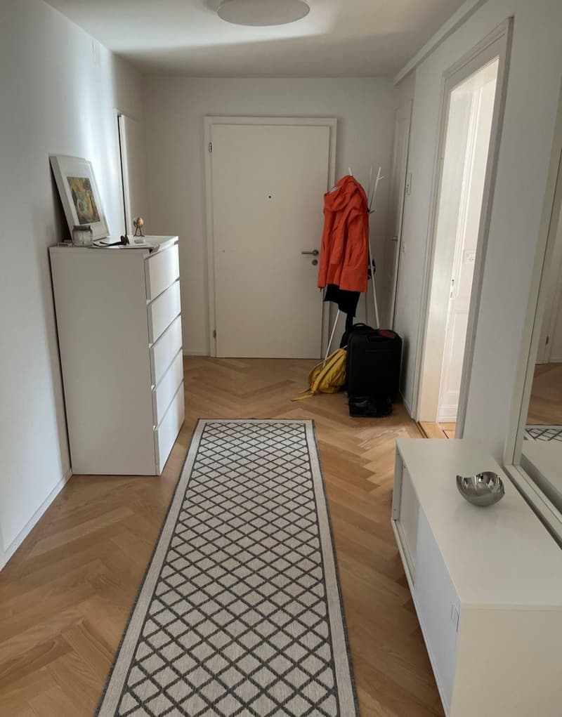 Central, bright and modern apartment (Kreis 1) (6)