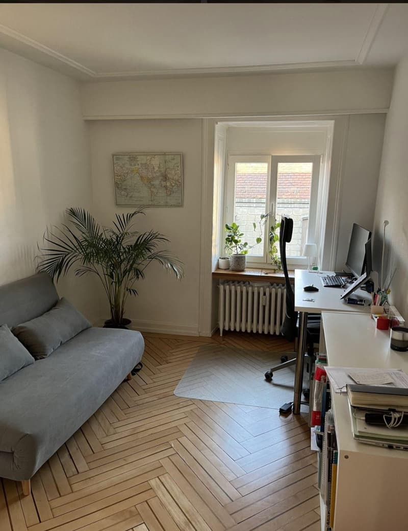 Central, bright and modern apartment (Kreis 1) (2)
