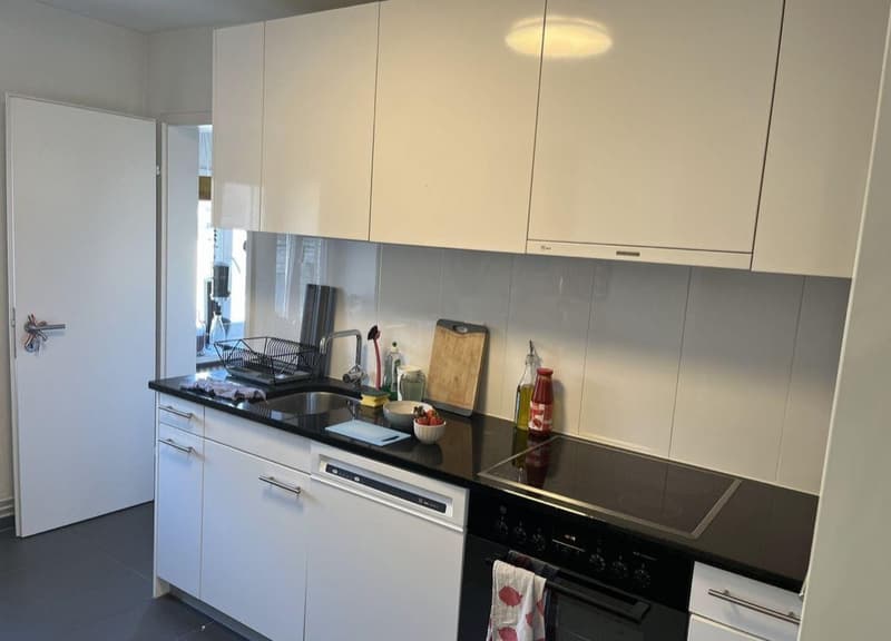 Central, bright and modern apartment (Kreis 1) (5)