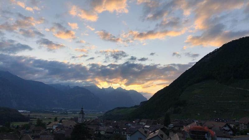 Magnifique 3 pièces avec balcon et terrasse (4)