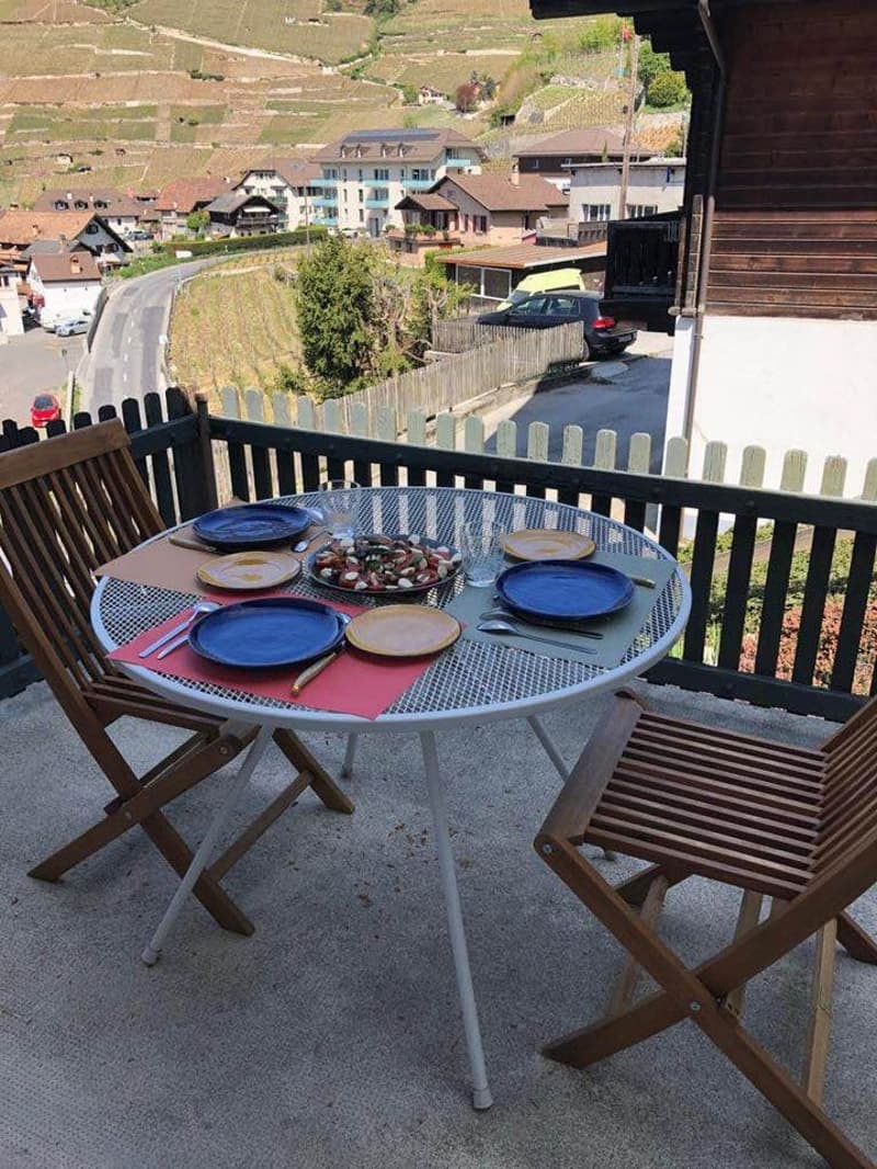 Magnifique 3 pièces avec balcon et terrasse (9)
