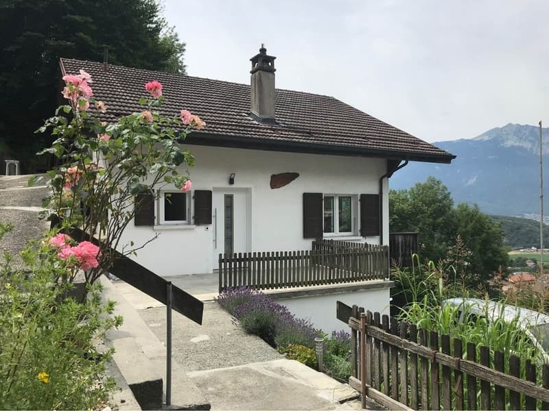 Magnifique 3 pièces avec balcon et terrasse (2)