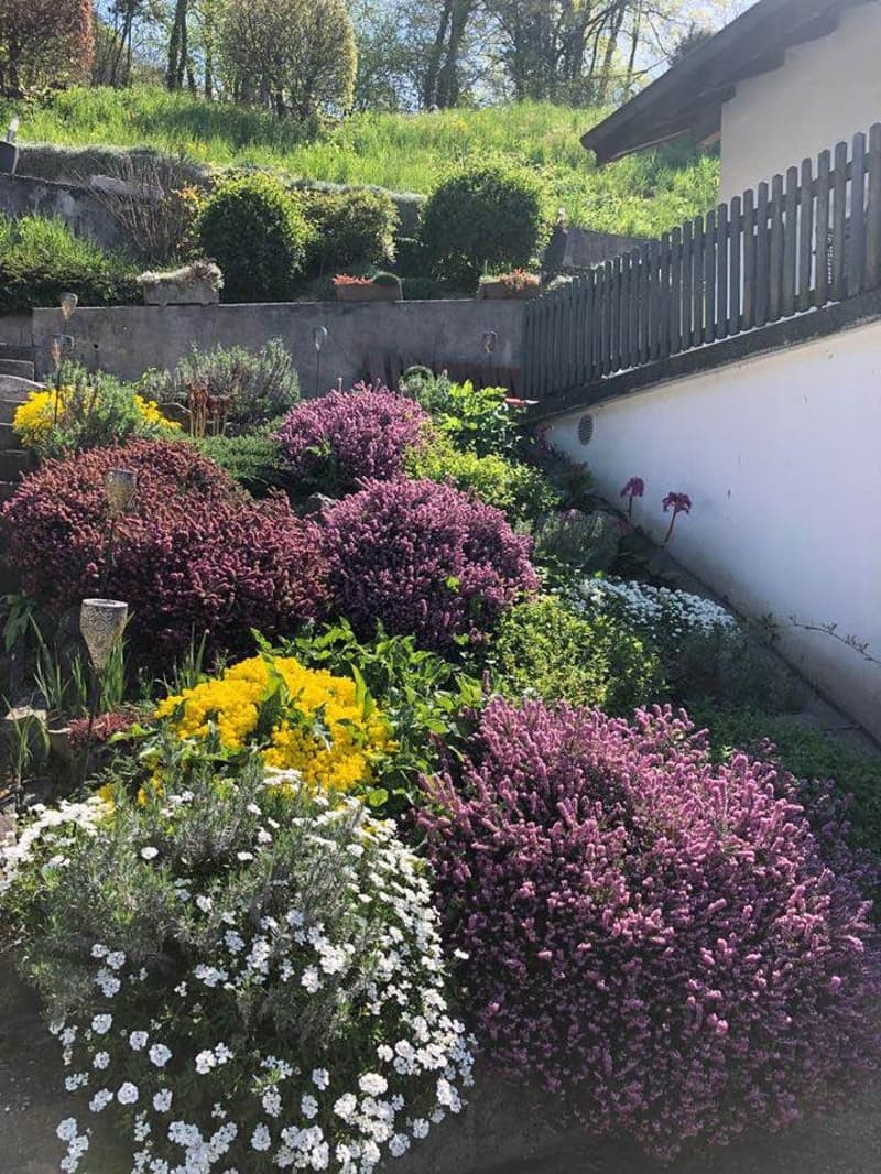 Magnifique 3 pièces avec balcon et terrasse (10)