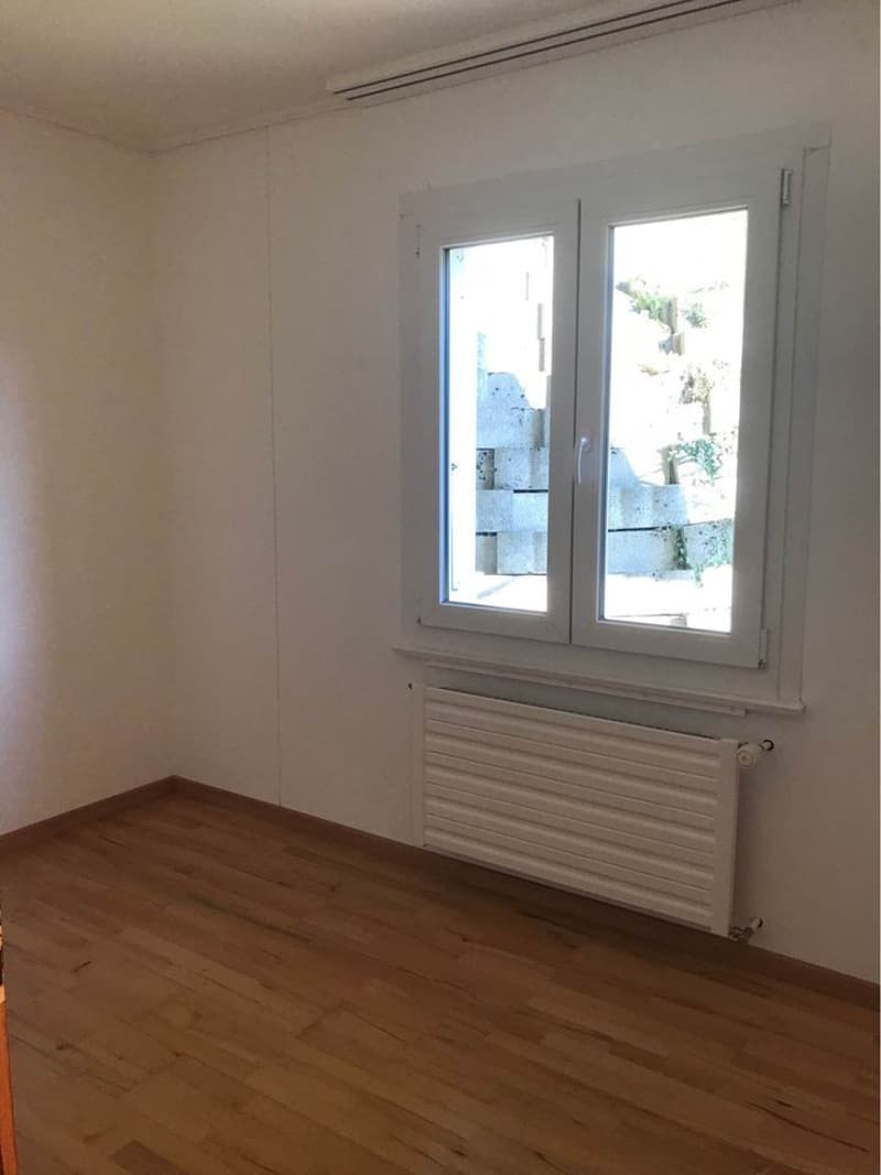 Magnifique 3 pièces avec balcon et terrasse (8)