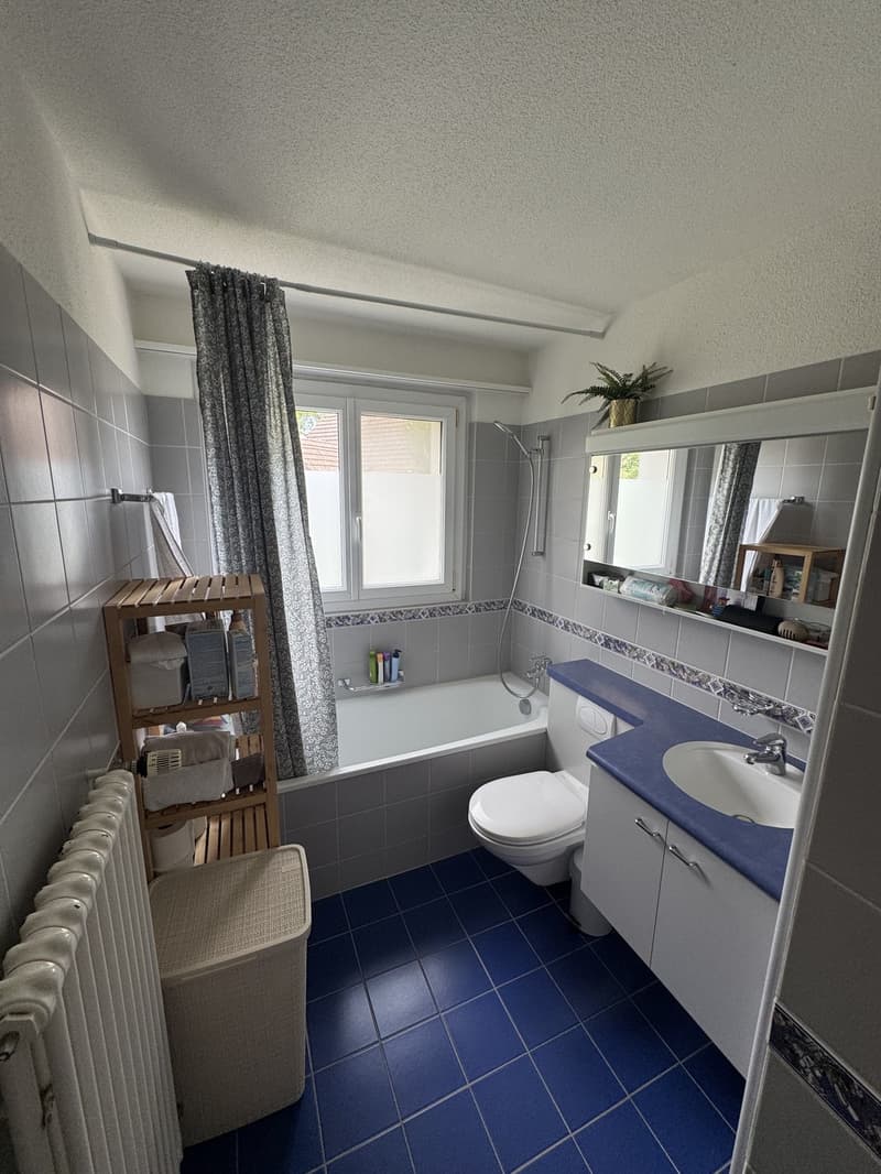 4-Zimmer Wohnung per 1.10.2026 (3)