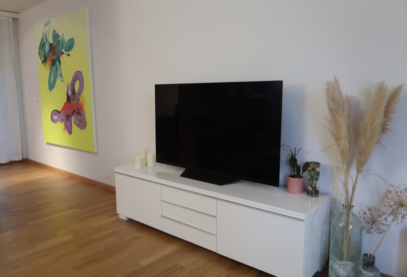 1.5 Zimmerwohnung Nähe Hirslanden/Kispi/Schulthess/Balgrist (5)
