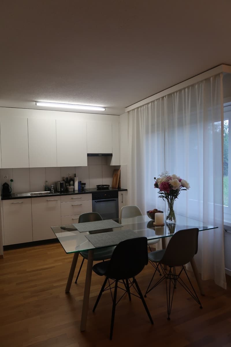 1.5 Zimmerwohnung Nähe Hirslanden/Kispi/Schulthess/Balgrist (2)