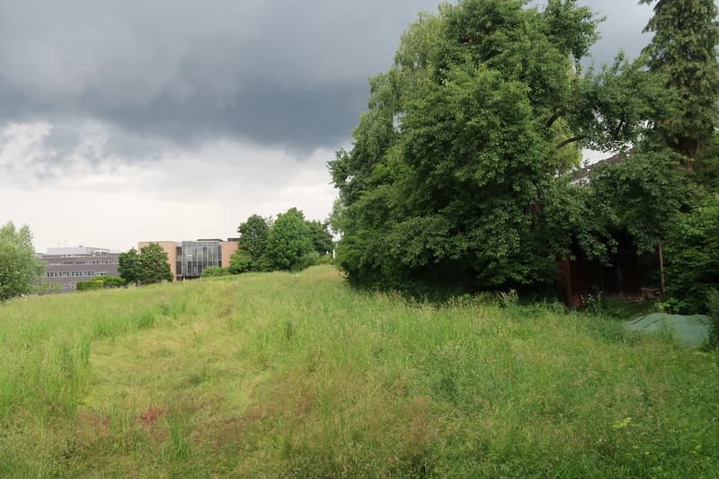 1.5 Zimmerwohnung Nähe Hirslanden/Kispi/Schulthess/Balgrist (10)
