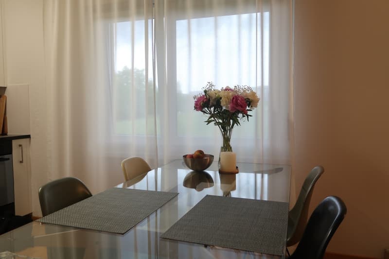 1.5 Zimmerwohnung Nähe Hirslanden/Kispi/Schulthess/Balgrist (6)