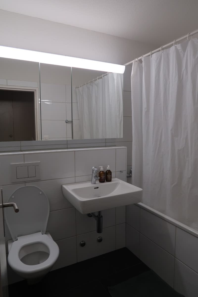 1.5 Zimmerwohnung Nähe Hirslanden/Kispi/Schulthess/Balgrist (3)